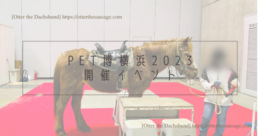 Blog Header image_犬と旅行_犬連れ旅行_pet博横浜2023_開催イベント
